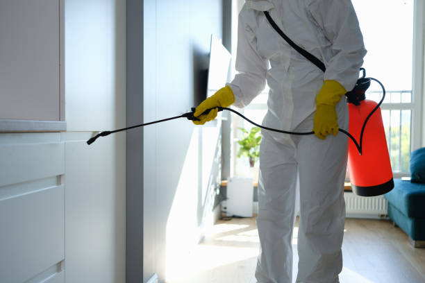 Best Post-Remediation Services in Ames, TX
