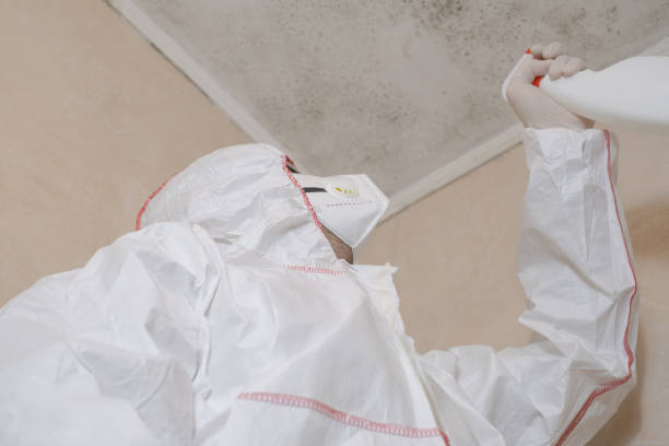 Best Insurance-Related Mold Remediation in Ames, TX