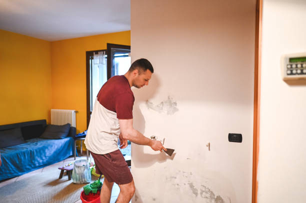 Best DIY Mold Remediation Support Services in Ames, TX